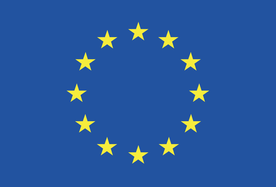 European Commission Delegation