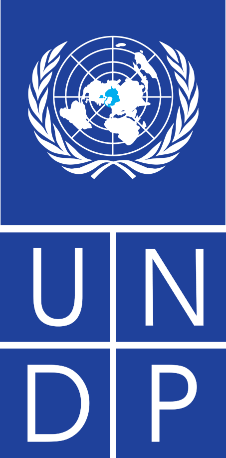 UNDP copy