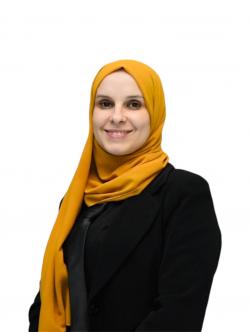 ٦